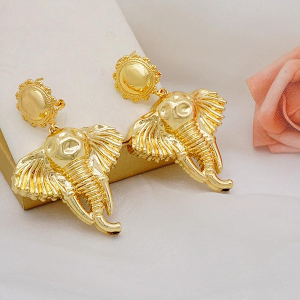 Gold Color Earrings For Women Drop Hoop Earrings Hanging Big Earrings