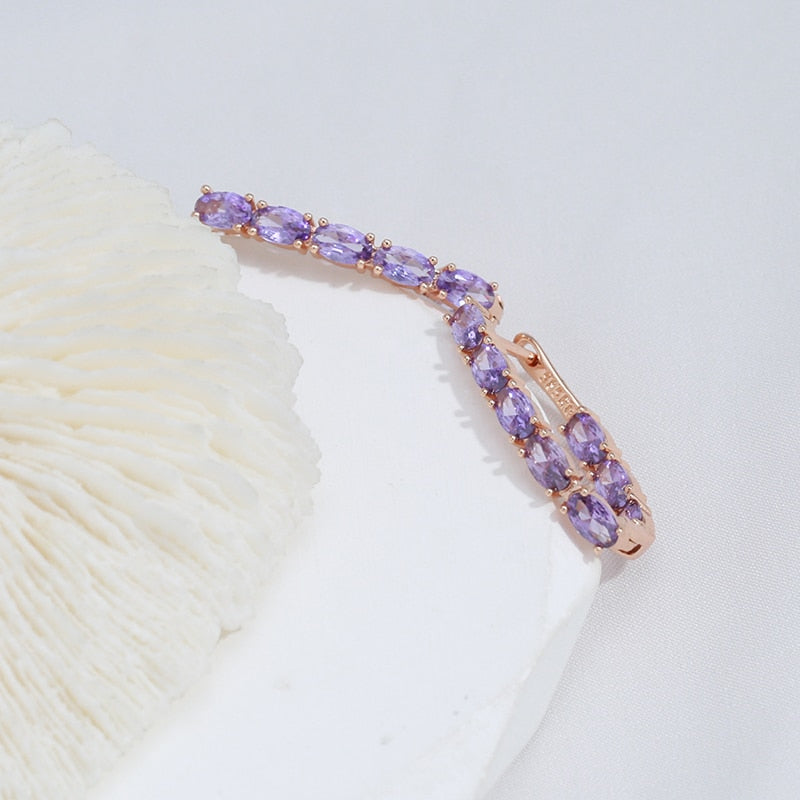 Luxury Full Claw Oval Purple Zircon Metal Earrings