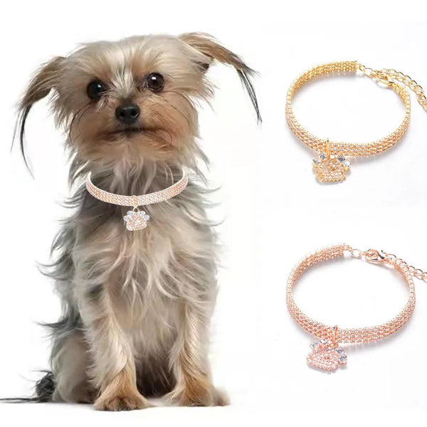 Paw Shaped Rose Gold Dog Collar Lovely Solid Zircon Necklace