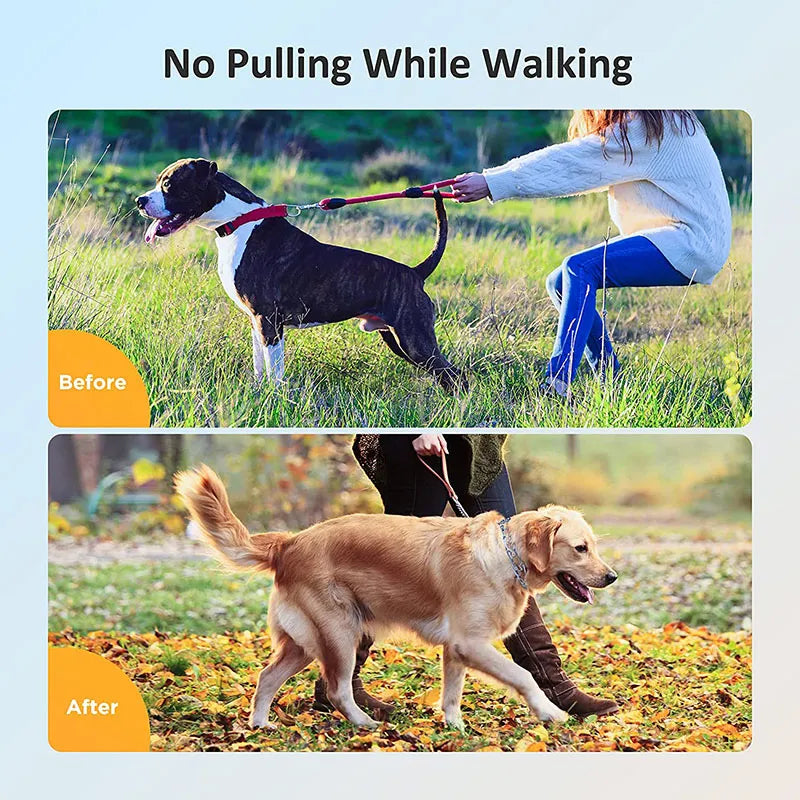 Effective Pinch Dog Training Collar