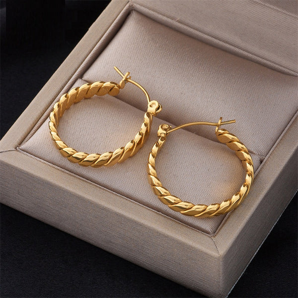 316L Stainless Steel Geometric Twist Hoop Earrings For Women