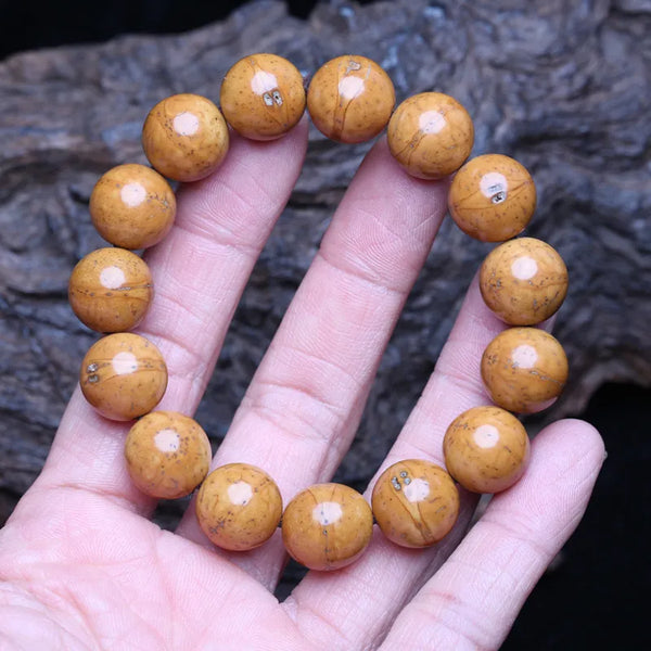 Pulsera tibetana pulida Bodhi de ojo de fénix de Nepal, pulsera universal