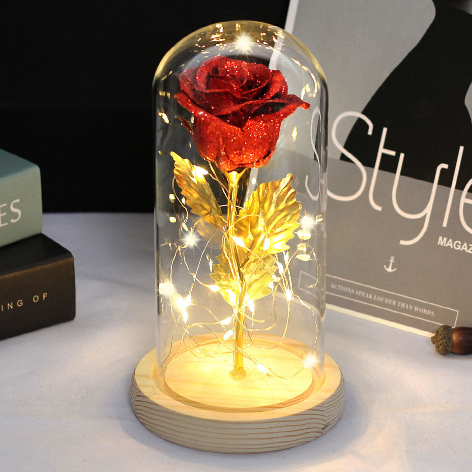 Christmas Gift -Rose Beauty and the Beast In A Glass Dome