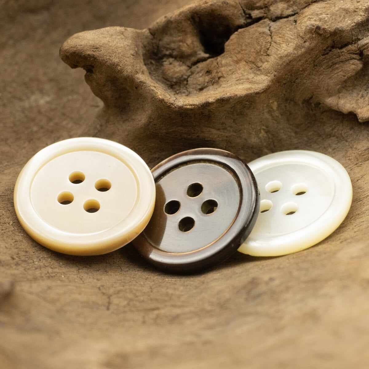 6pcs Natural Shell Buttons Trocas  Deep Sea Shell Mother of Pearl Sewing Accessories