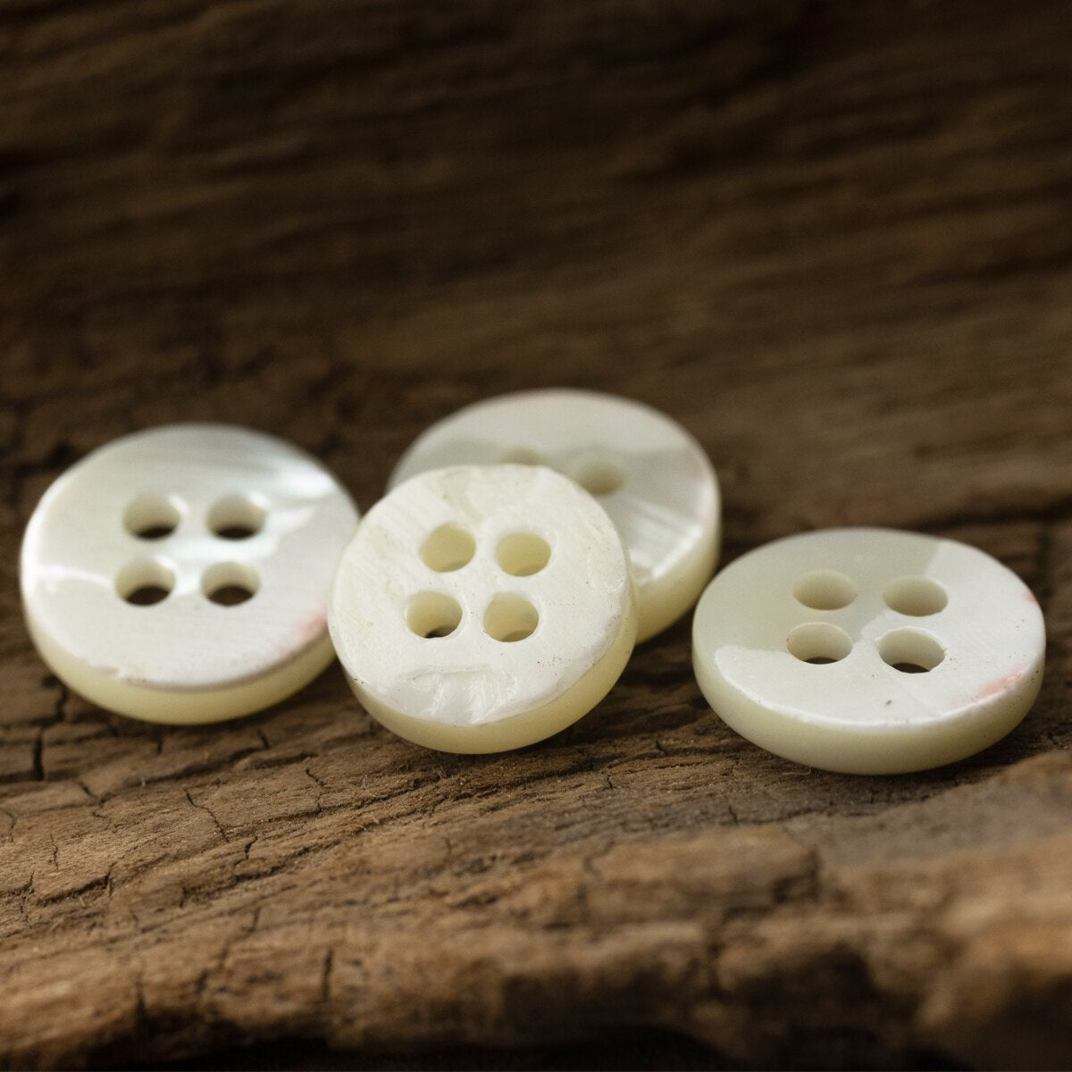 5pcs 2.65mm Thickness Trocas Shell Button in 4 Styles Natural Material ...