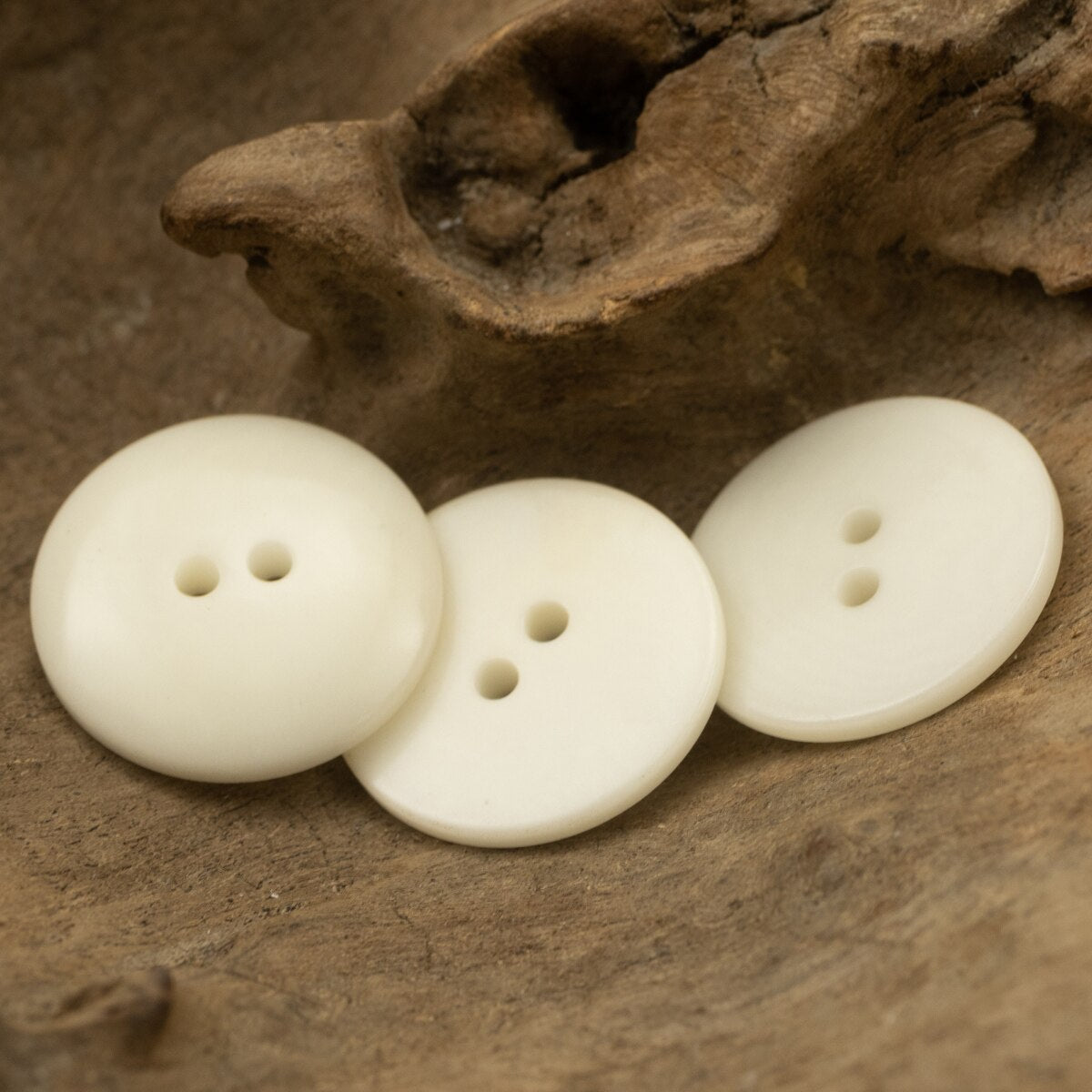 Pure White Ivory Nut Buttons Dmed Two Hole Sewing Accessories Cute Children Buttons
