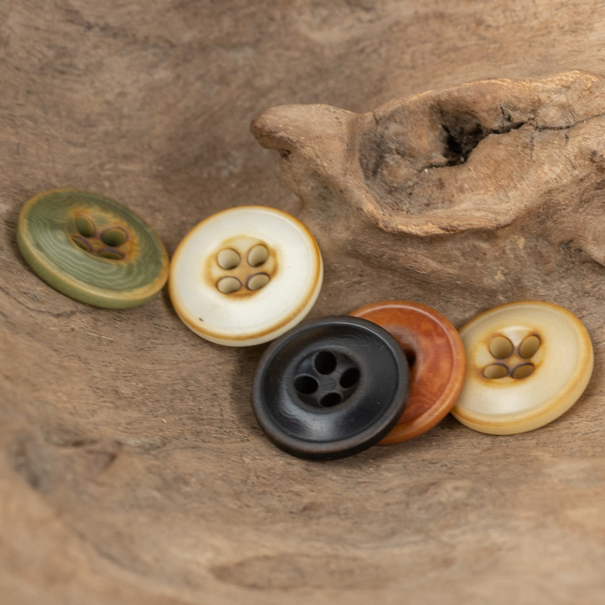 6pcs Vintage Scorched Corozo Buttons