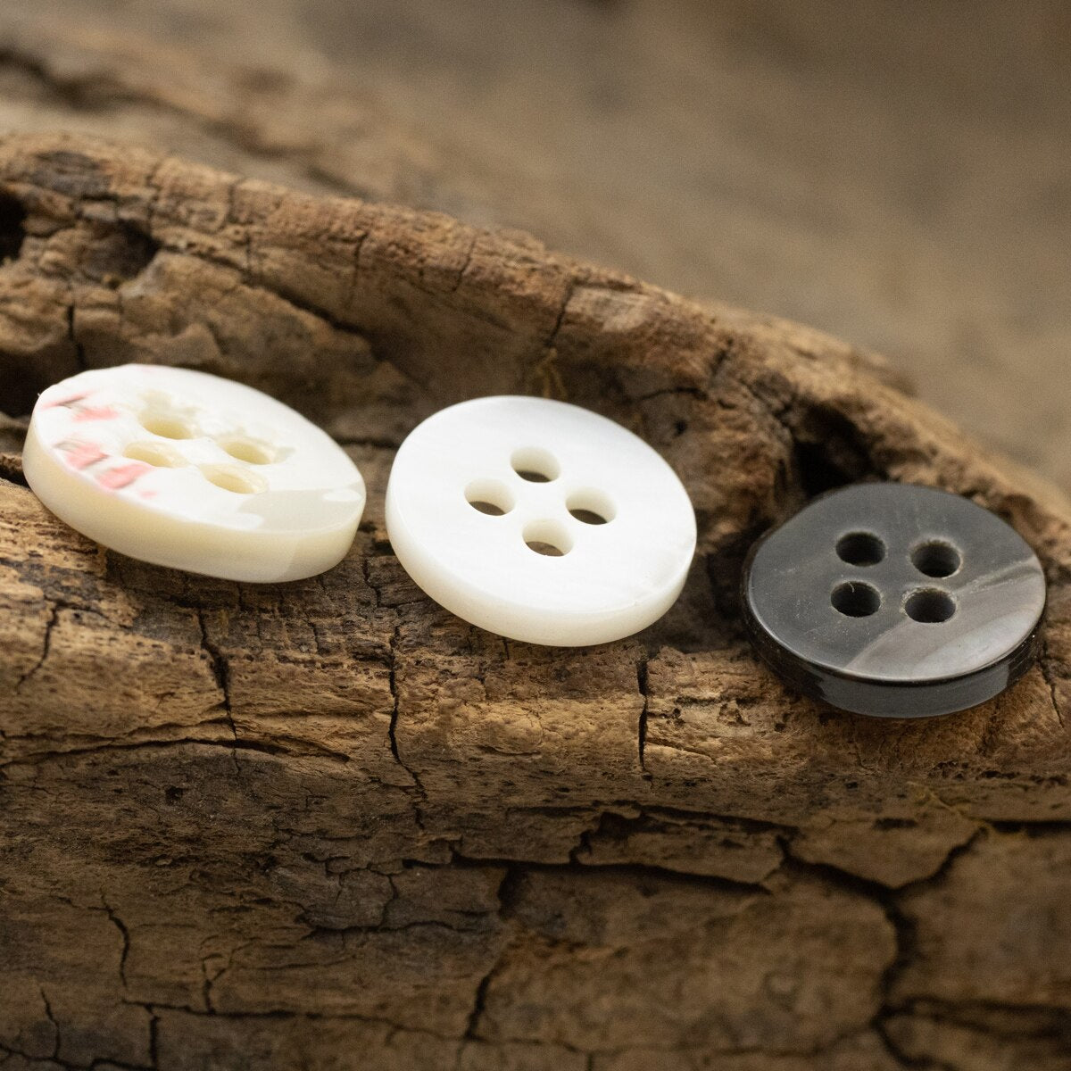 12pcs Frame Luxury Shell Buttons
