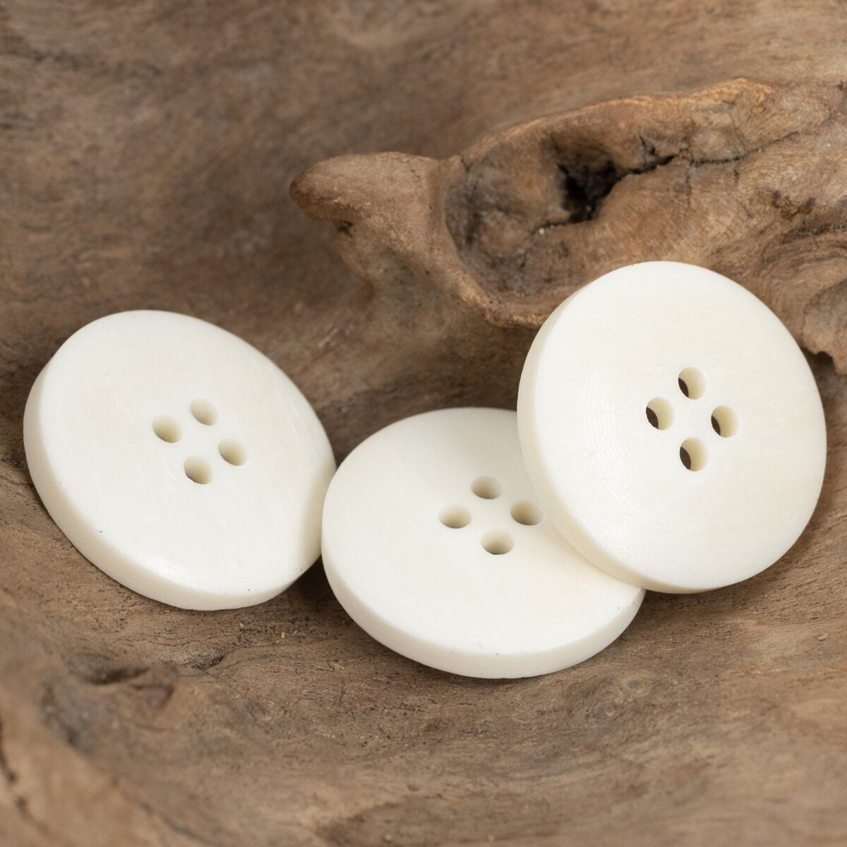 6pcs Frame White Bone Buttons Natural Material Heavy Classic White Buttons
