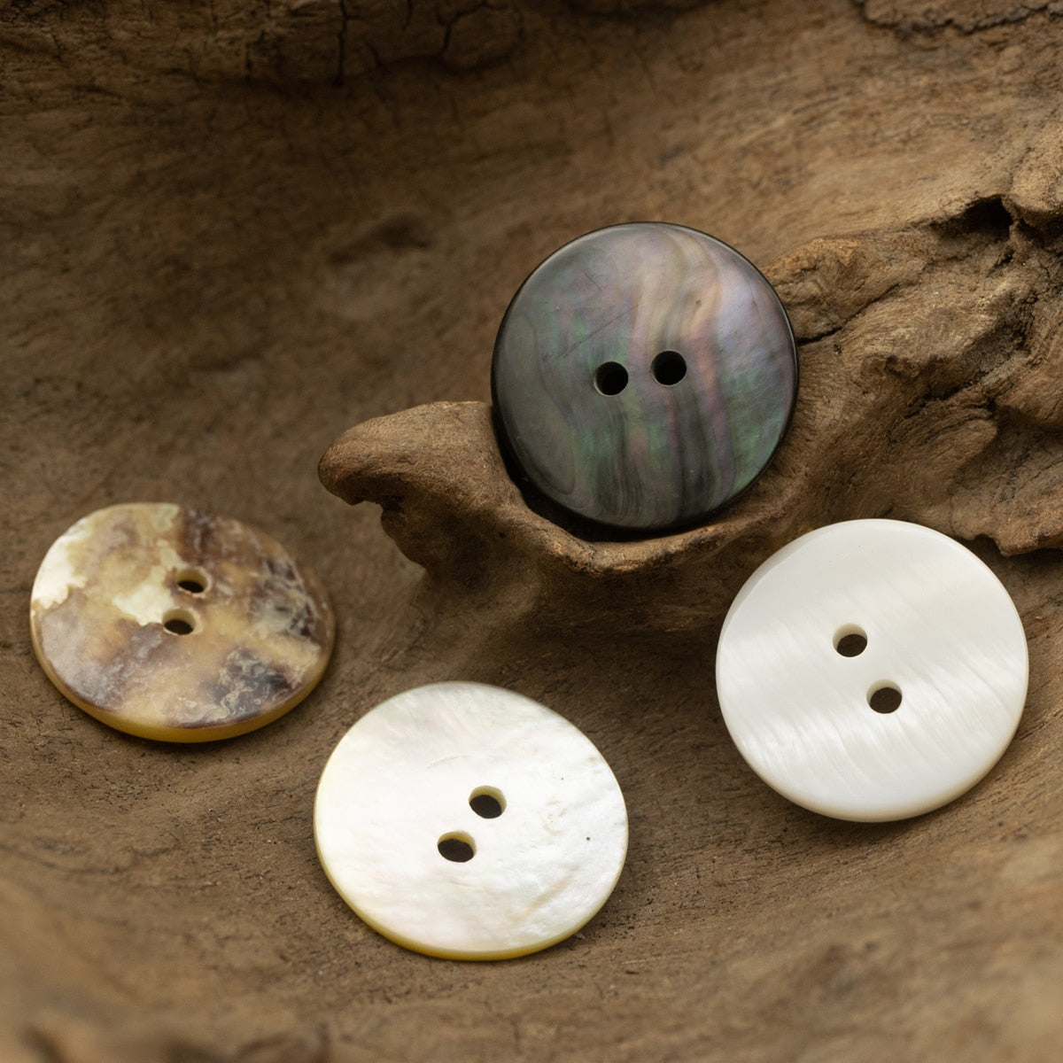 Classic Round Shell Button Set