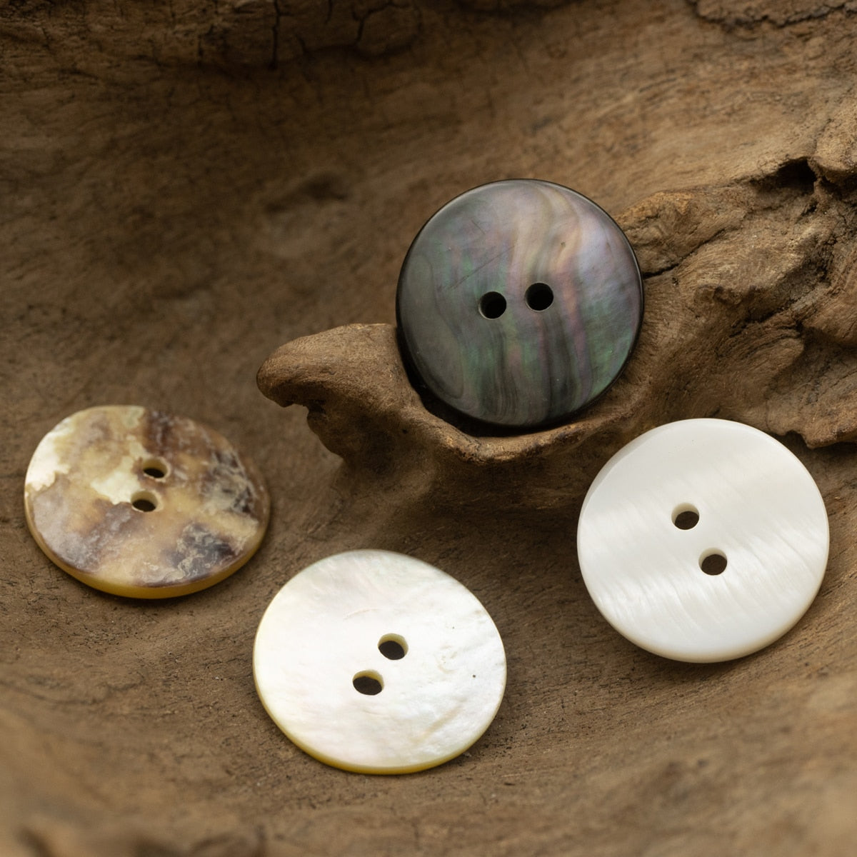 Classic Round Shell Button Set – Gofaer Finds store!