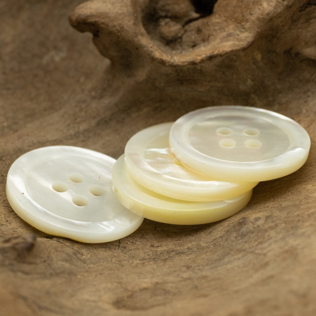 2pcs Mother of Pear Shell Buttons for Clothing Natural Round Rim Lip Shell Buttons