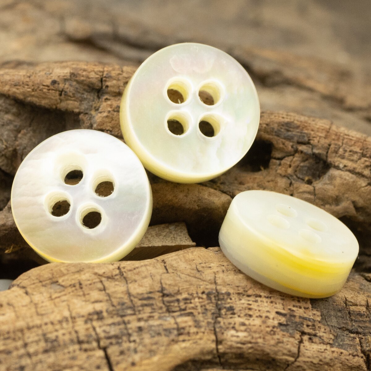 2pcs Thickness 3.8mm Natural Lip Shell Buttons