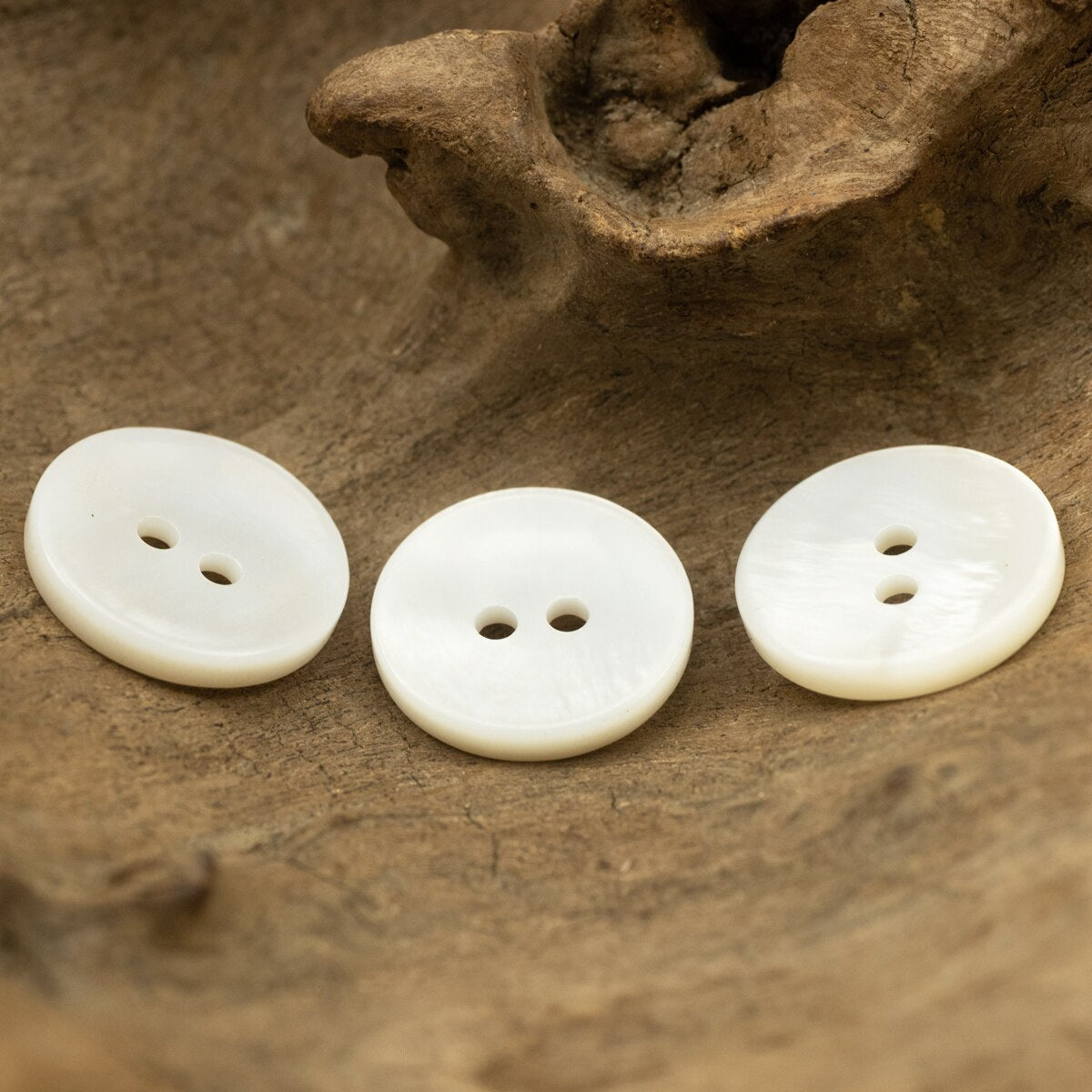 White Simple Shell Buttons With Flat Surface and Back Small Sewing Button