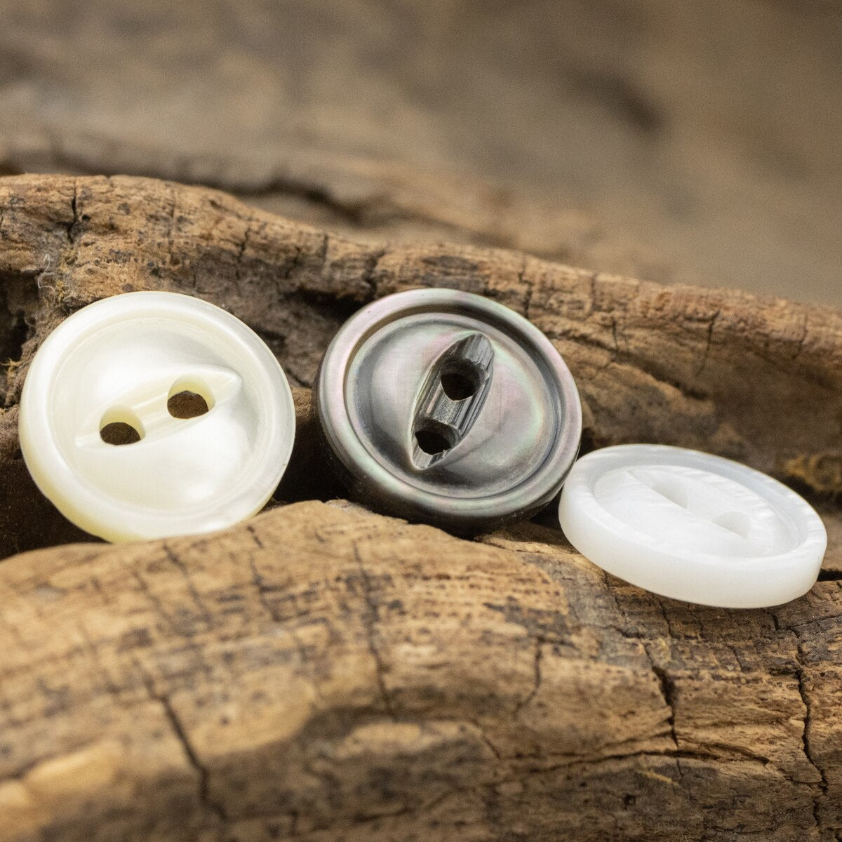 5pcs Genuine Real Shell Buttons For Shirt  Accessories