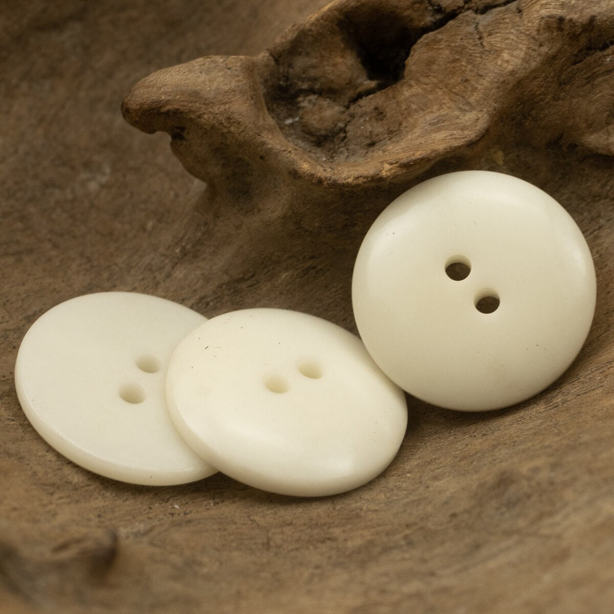 Pure White Ivory Nut Buttons Dmed Two Hole Sewing Accessories Cute Children Buttons