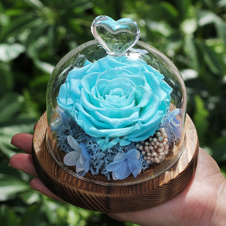 Natural Everlasting Rose in Glass  Day Wedding Gift For Home Decor