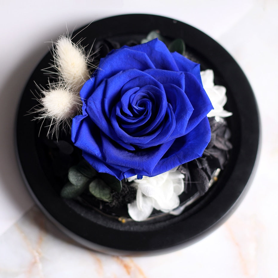 Flower Beauty and the Beast Led Eternal Rose in Glass Christmas Dried Flowers