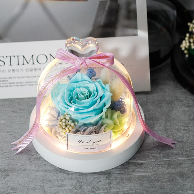 Exclusive Rose in Glass Dome with Lights gift