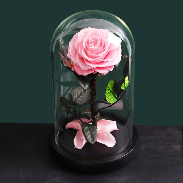 Wedding Decoration Plants Eternal Preserved Rose