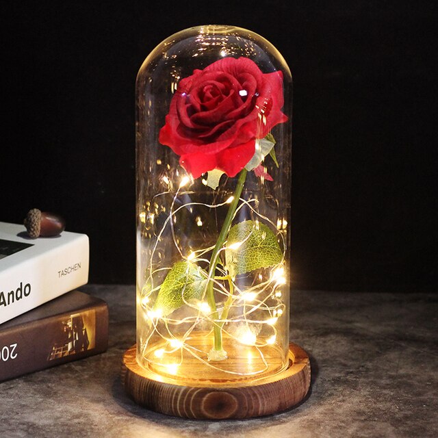 Medium Beauty and the Beast rose, Rose in glass dome