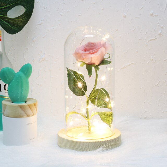 Medium Beauty and the Beast rose, Rose in glass dome