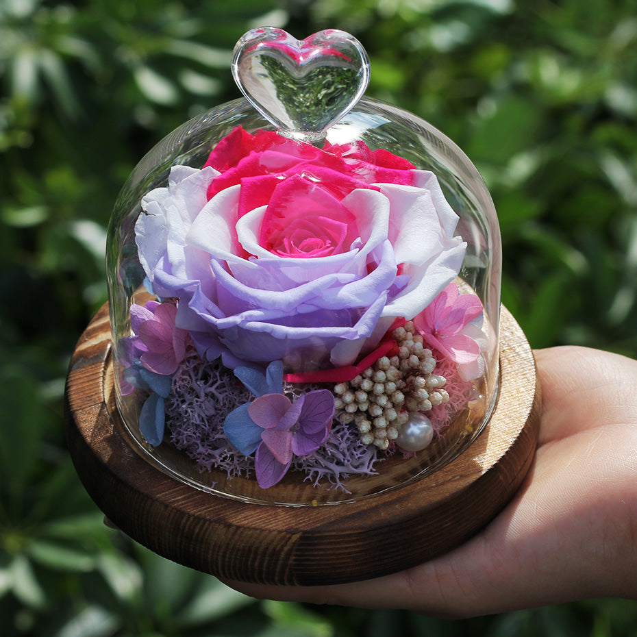 Natural Rose In Glass Dome With Light  Day Christmas Gifts