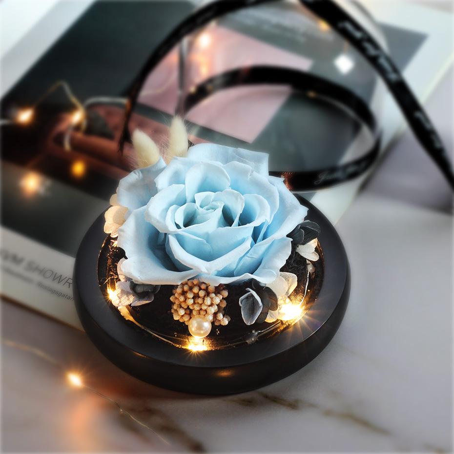 Beauty And The Beast Red Rose Flowers Rose In Glass Dome With Lights