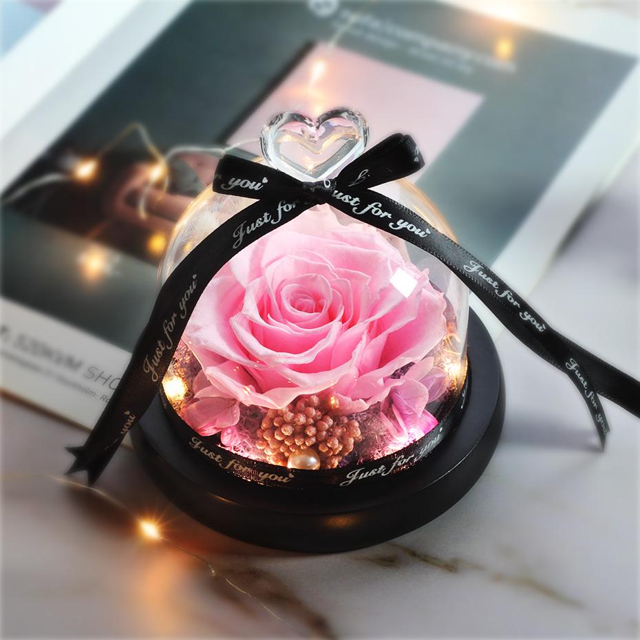 Beauty And The Beast Red Rose Flowers Rose In Glass Dome With Lights