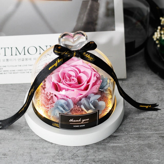 Real Rose Beauty and The Beast Eternal Preserved Valentines Day Gift