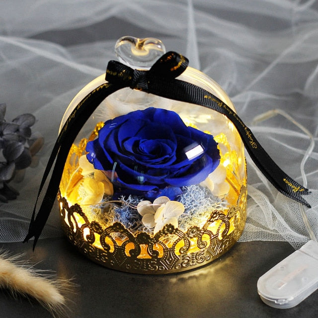 Real Rose Beauty and The Beast Eternal Preserved Valentines Day Gift