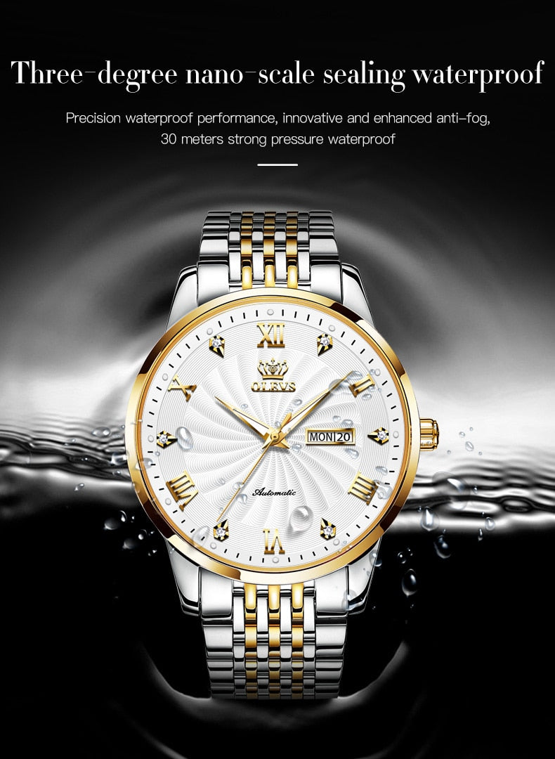 Luxury Automatic Mechanical Watch Stainless Steel Waterproof Clock