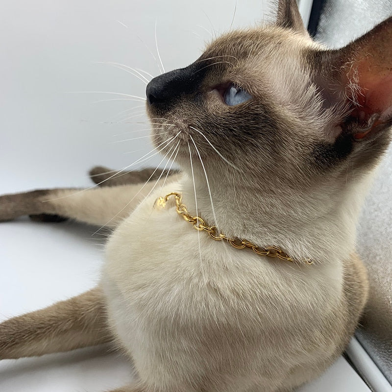 Charm  Necklace 6mm Gold color Heart Collar Chain