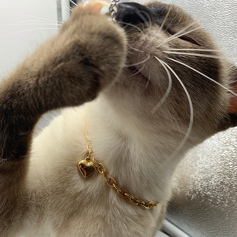 Charm  Necklace 6mm Gold color Heart Collar Chain