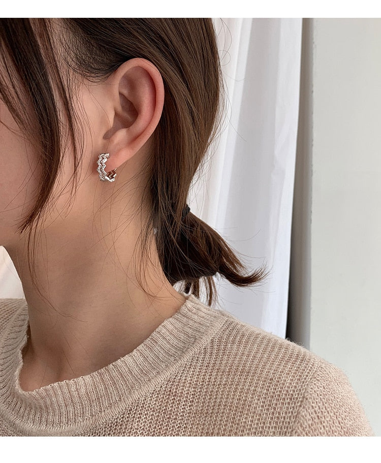 Piercing Stud Earrings Crystal Zircon Row Silver Color Huggie Earrings