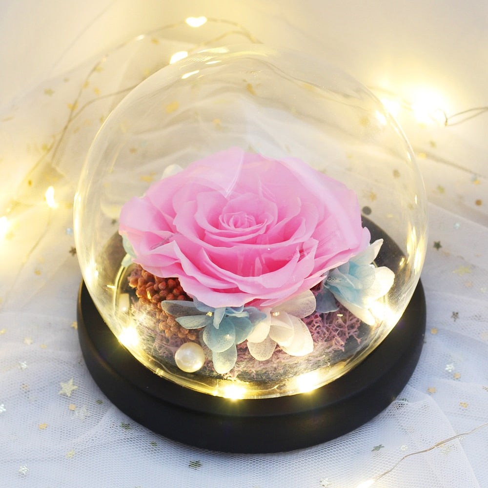 Dried Real Flowers Beauty and the Beast Eternal Rose Gift