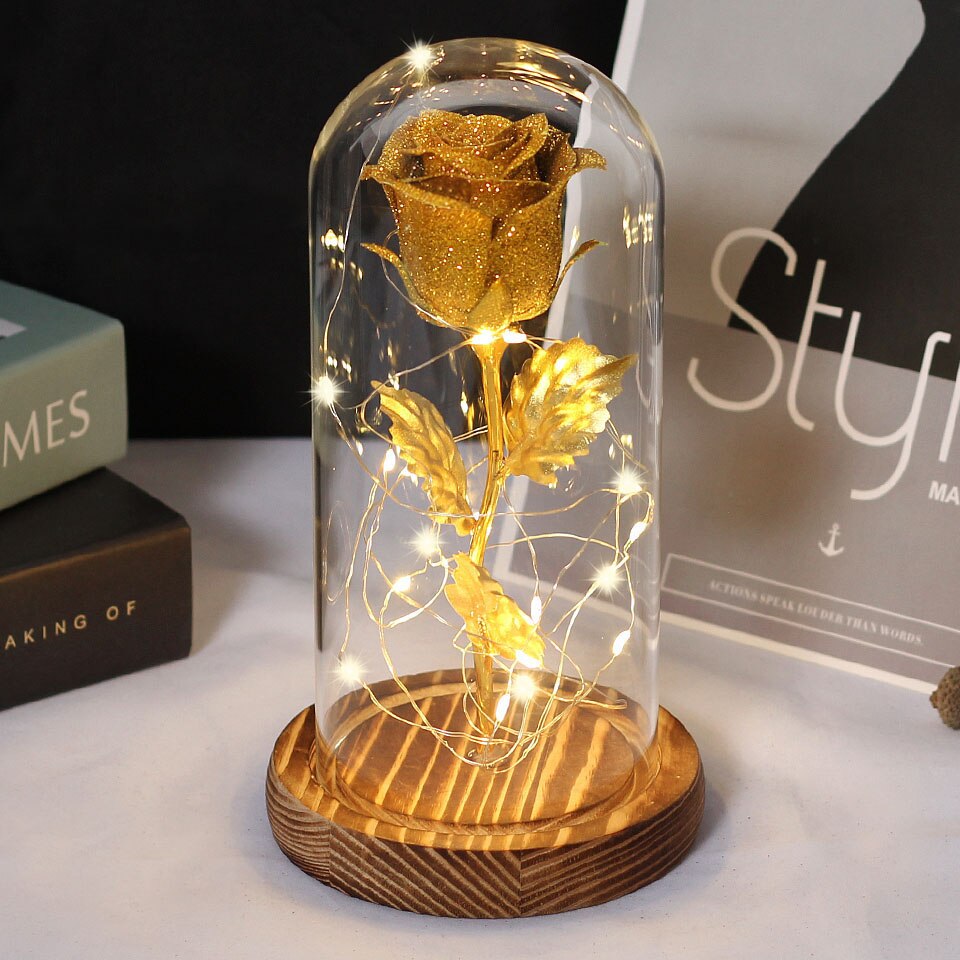 Christmas Gift -Rose Beauty and the Beast In A Glass Dome