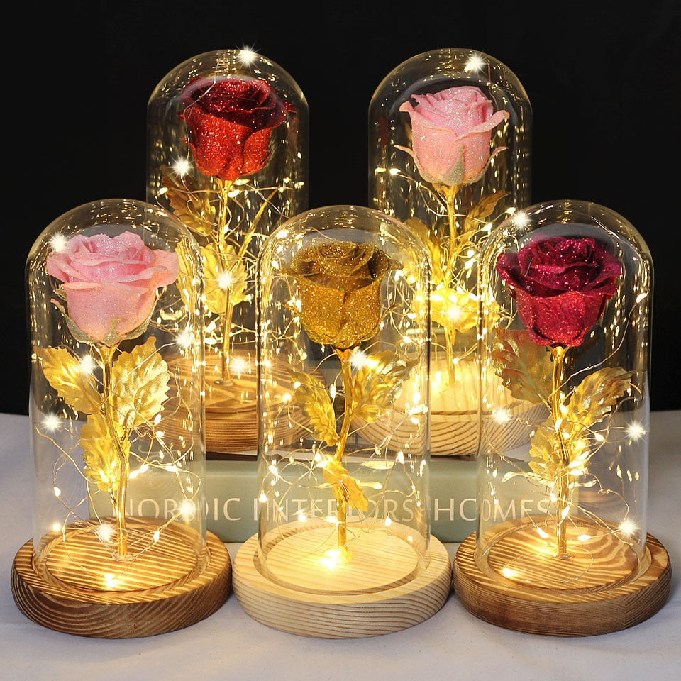 Christmas Gift -Rose Beauty and the Beast In A Glass Dome