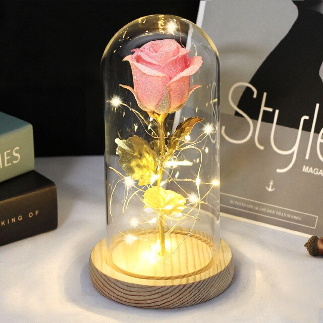 Christmas Gift -Rose Beauty and the Beast In A Glass Dome