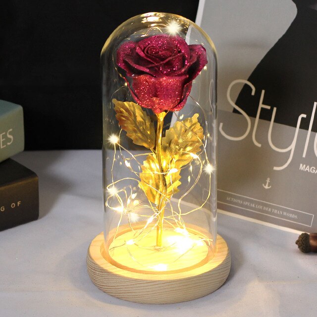 Christmas Gift -Rose Beauty and the Beast In A Glass Dome