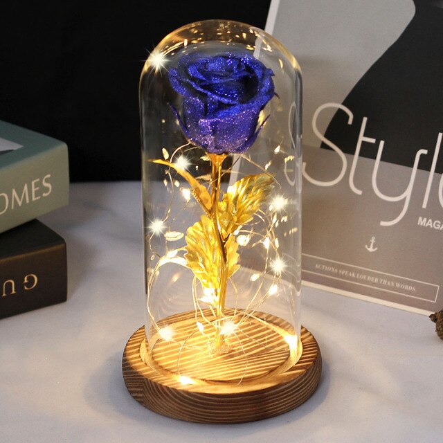 Christmas Gift -Rose Beauty and the Beast In A Glass Dome