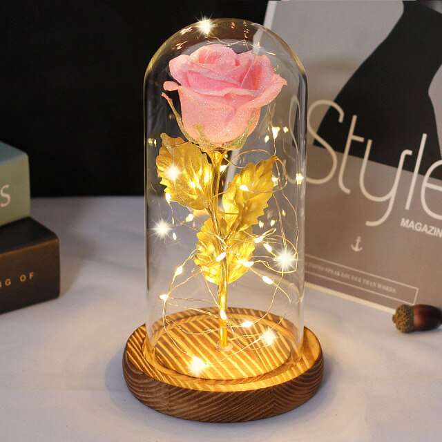 Christmas Gift -Rose Beauty and the Beast In A Glass Dome