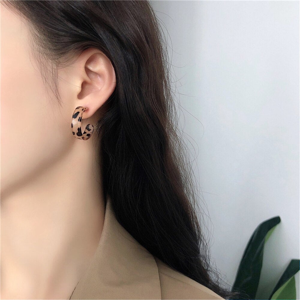 Women Brown Leopard Geometric Hoop Earrings