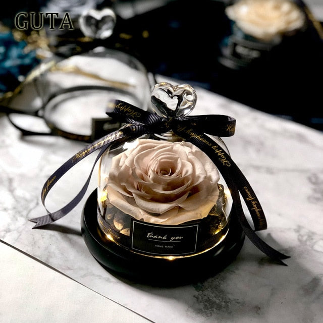 Girlfriend Romantic Valentine's Day Gifts The Beauty And Beast Rose