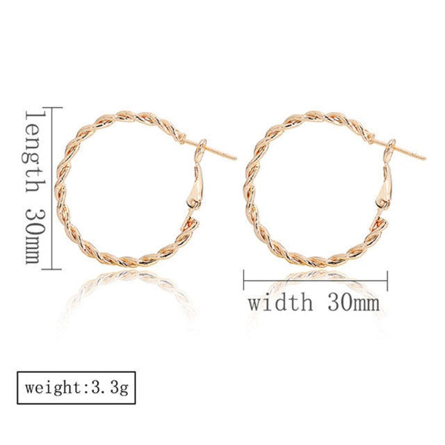 Women Brown Leopard Geometric Hoop Earrings
