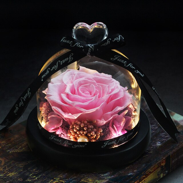 Beauty And The Beast Red Rose Flowers Rose In Glass Dome With Lights