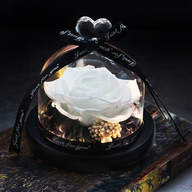 Beauty And The Beast Red Rose Flowers Rose In Glass Dome With Lights