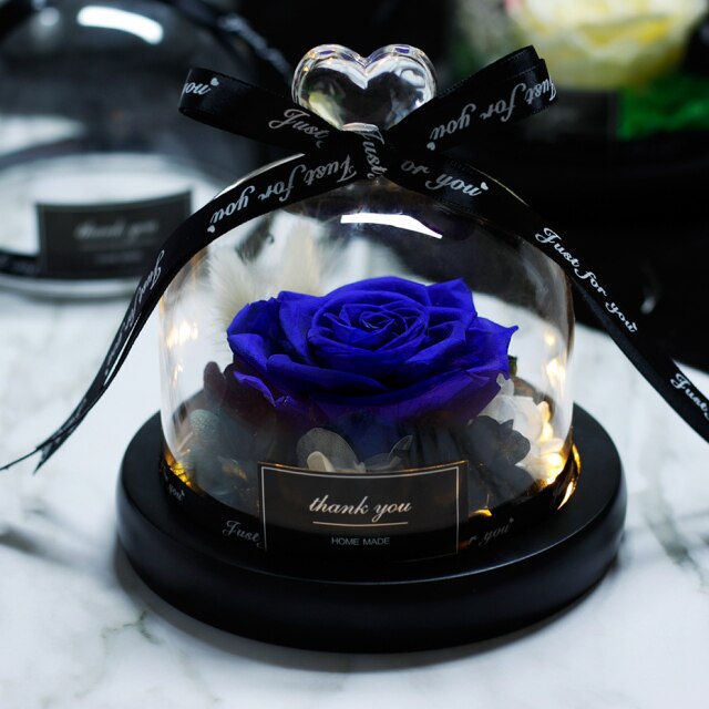 Beauty And The Beast Red Rose Flowers Rose In Glass Dome With Lights
