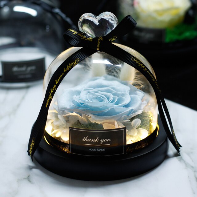 Beauty And The Beast Red Rose Flowers Rose In Glass Dome With Lights