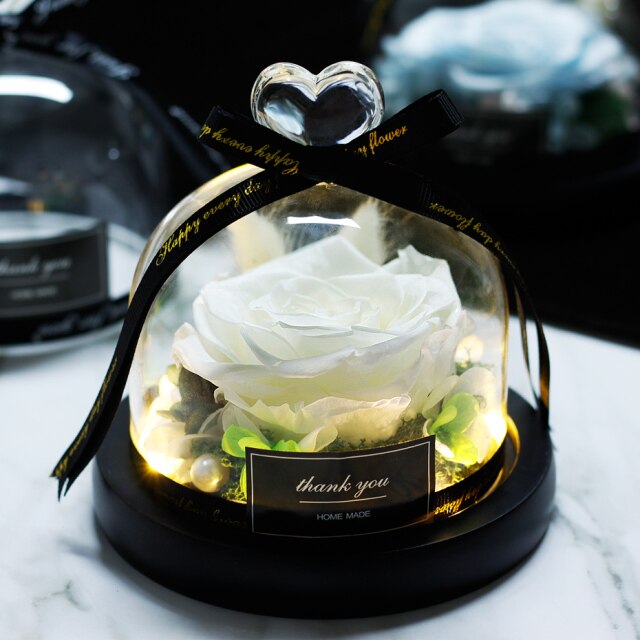 Beauty And The Beast Red Rose Flowers Rose In Glass Dome With Lights
